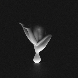 merlin flügel animation illustration artist