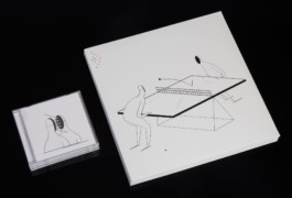 merlin flügel animation illustration artist