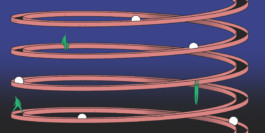 merlin flügel animation illustration artist