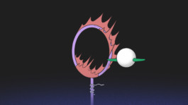 merlin flügel animation illustration artist