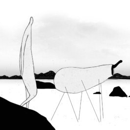  merlin flügel animation illustration artist