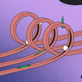  merlin flügel animation illustration artist