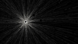  merlin flügel animation illustration artist